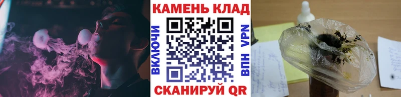наркотики  Гвардейск  Гашиш индика сатива 