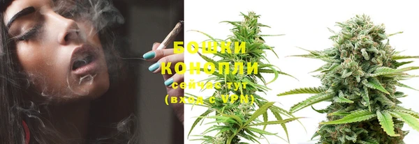 PSILOCYBIN Верхний Тагил