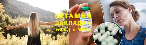 прущие грибы Верея