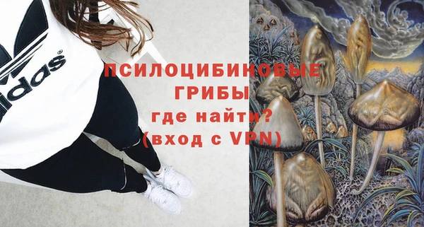 прущие грибы Верея