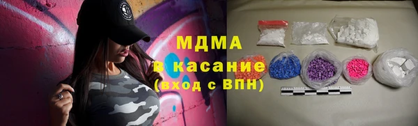 прущие грибы Верея