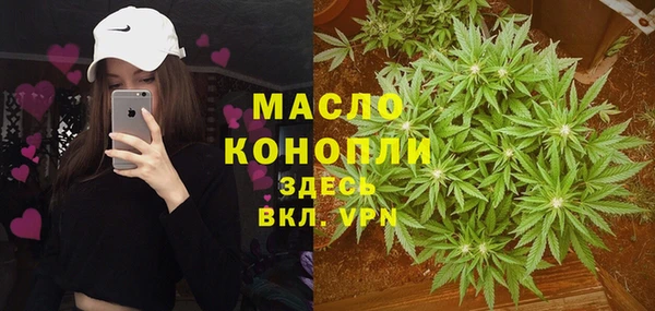 прущие грибы Верея