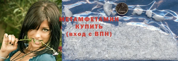 прущие грибы Верея
