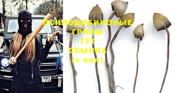PSILOCYBIN Верхний Тагил