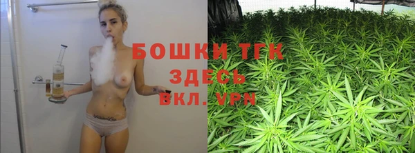 PSILOCYBIN Верхний Тагил