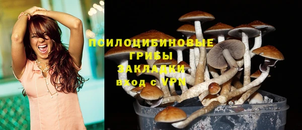 PSILOCYBIN Верхний Тагил