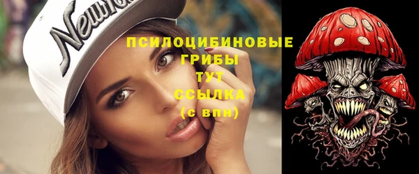 прущие грибы Верея