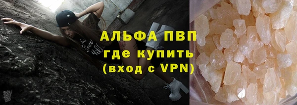 прущие грибы Верея
